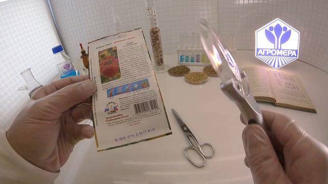 Томат Боярыня F1. СеДеК смотреть онлайн