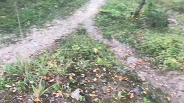 Subaru Forester SF5 - КОРЫТО НА ОФФРОАДе, ОТЗЫВ ВЛАДЕЛЬЦА, НОВЫЙ РОЗЫГРЫШ, ЧАСТЬ 5