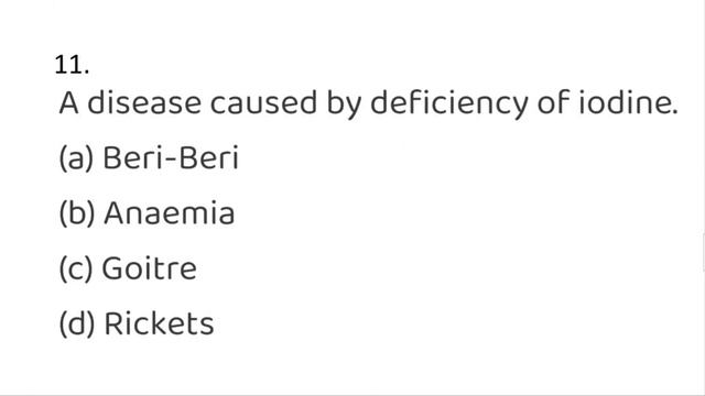 QUIZ /Components Of Food / Class-6 SCIENCE NCERT Chapter 2 Extra MCQ Questions / Test By-KV Teacher смотреть онлайн
