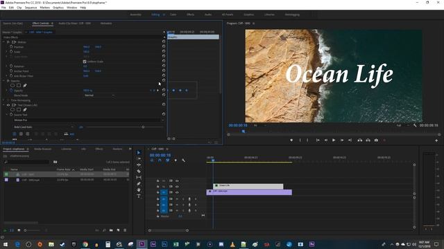 Premiere Pro - How To Do Flickering Text Effect