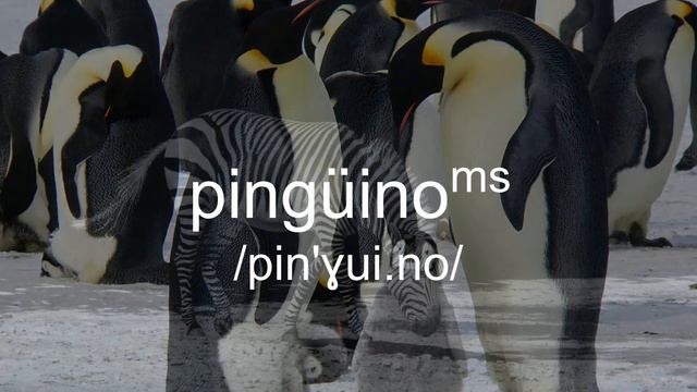 Listado de Animales en Castellano! Learn +100 Animals in Spanish and Argentinian Spanish with image смотреть онлайн