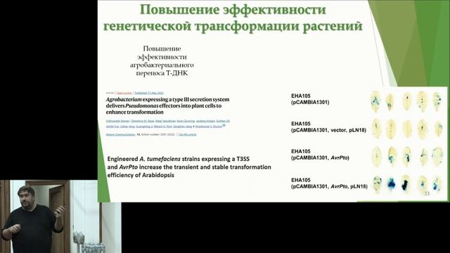 Генная инженерия и геномное редактирование растений смотреть онлайн