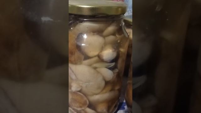 ЗАГОТОВКИ НА ЗИМУ