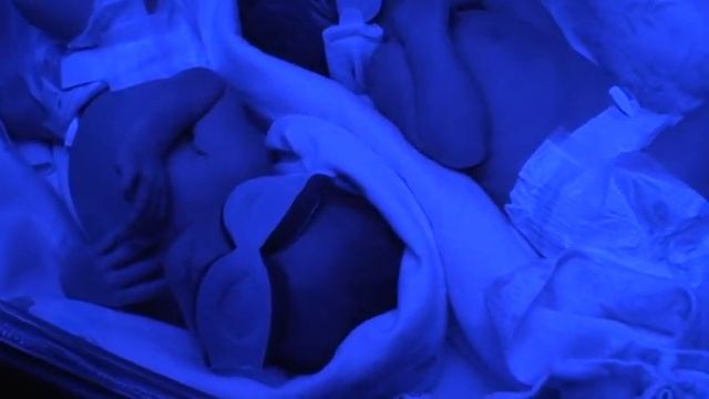 Civa and Rana under the UV lamp - 2 days old смотреть онлайн