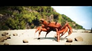 патанцуем крабика песня до 7 лет