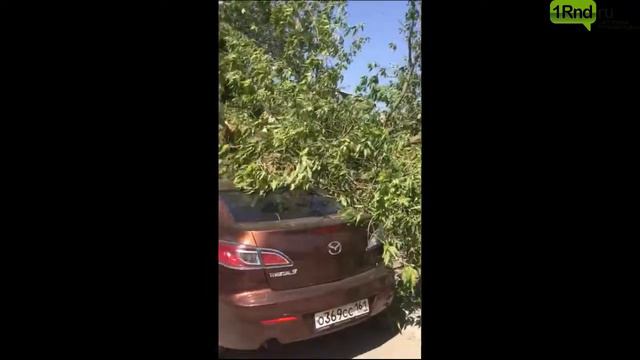 Упало дерево, Ростов смотреть онлайн