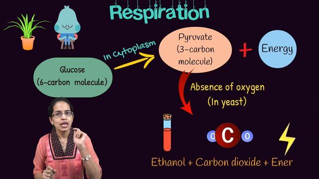NCERT Class 10 Science Chapter 6: Life Processes | English | CBSE | NTSE | ICSE смотреть онлайн