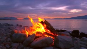 Счастье. Дмитрий Кравченко