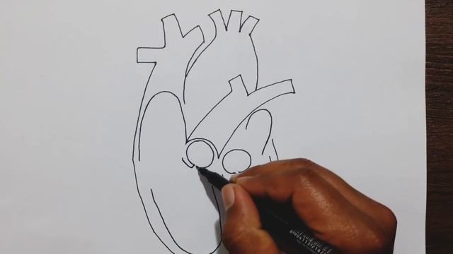 Easy trick to draw Human Heart смотреть онлайн