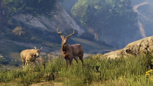 GTA V - Дата выхода на PS4, Xbox One и ПК (+ подробности) смотреть онлайн