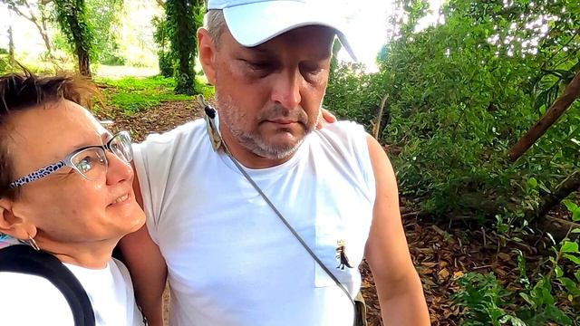 Паттерны Впечатлений