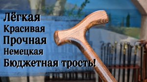 Идеальная бюджетная трость | Трость "Берлин"