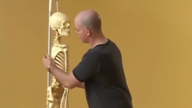 8 движений анатомии йоги. Анатомия йоги с Полом Грилли в улучшенном качестве смотреть онлайн