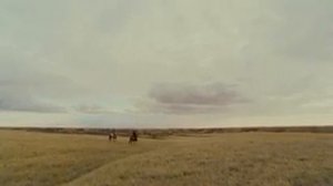 Одна неделя 2008