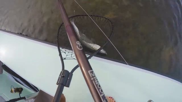 САМОЕ ПОПУЛЯРНОЕ ВИДЕО НА ЮТУБе №102, ловит рыбу, девушка, 4к, самсунг, обзор, блондинка, приколы смотреть онлайн
