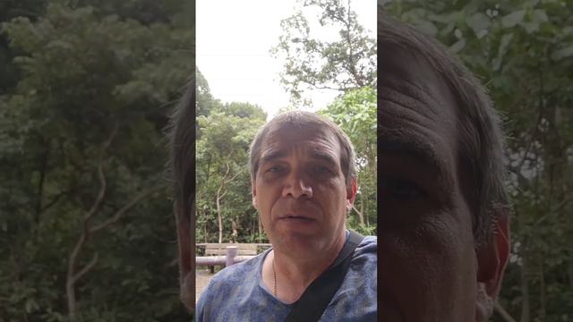 Гонконг смотреть онлайн