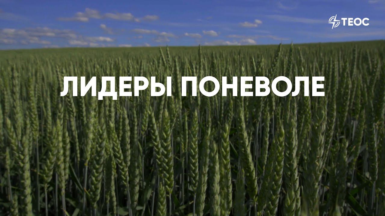 Лидеры поневоле смотреть онлайн