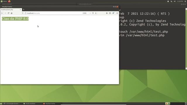 [ITA 2021] Installiamo e configuriamo lo stack LAMP - Installazione PHP 8 смотреть онлайн
