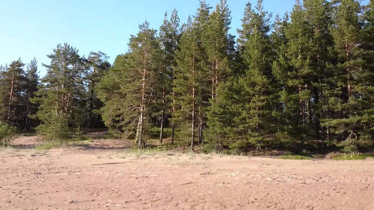 Ладога смотреть онлайн