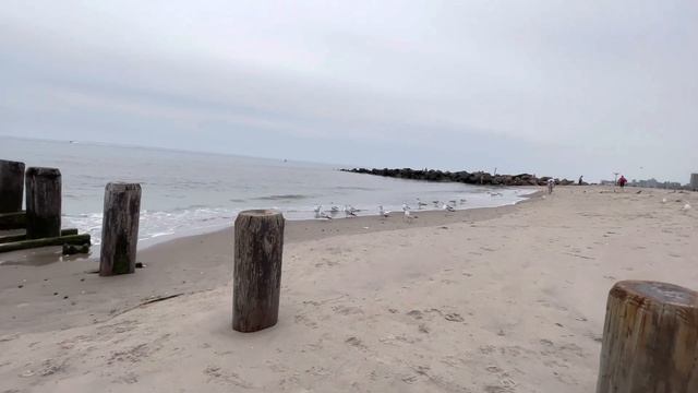 Все про море , чайки и Brighton beach смотреть онлайн