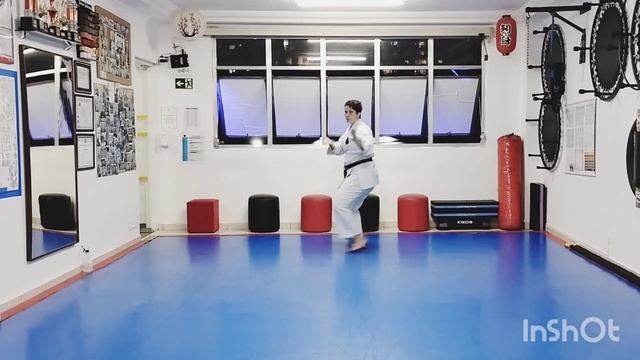 Kata Heian Shodan (paz e tranquilidade nível 1) смотреть онлайн