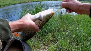 Голавль на спиннинг.Рыбалка на голавля.Ловля голавля на кренки и вертушки.