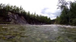 Тофалария 2014  реки Мурхой, Гутара, Тагул.