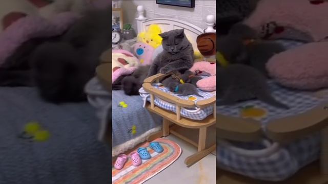 Доброе утро смотреть онлайн