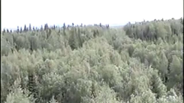 Уральские горы (на горе Старик камень) смотреть онлайн