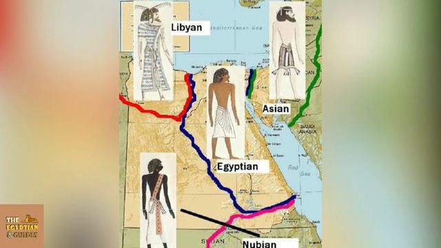 قصة الافروسنتريك | سرقة الحضارة المصرية | اصل الملكة كليوبترا والمصريين 🇪🇬⚔️ смотреть онлайн