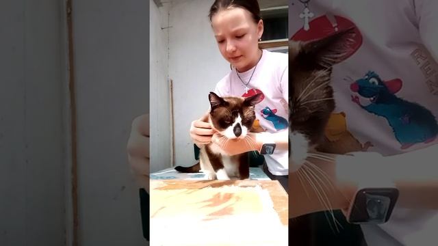 Творческий Путь к Успеху