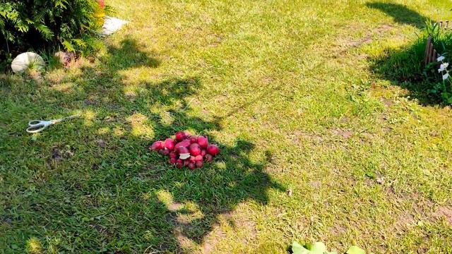 ЧЕМ ЗАНЯТЬСЯ НА ПЕНСИИ?