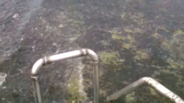 29 июля 2016 г. смотреть онлайн