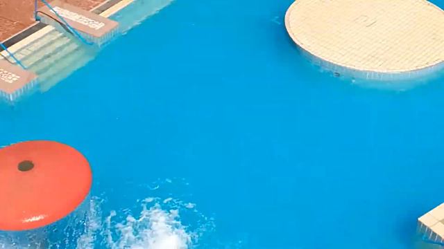 Ташкент. День первый. Аквапарк-Диснейлэнд. 12.08.2017 смотреть онлайн