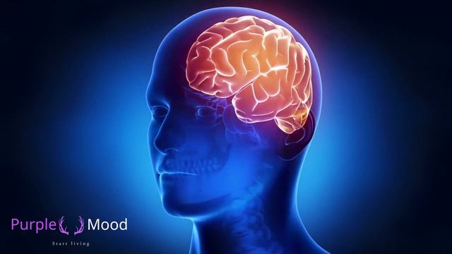 🟡BRAIN RELAXING MUSIC | DEEP WORK | 13 HZ ALPHA WAVES | RELAXATION MUSIC | BINAURAL BEATS🟡 смотреть онлайн