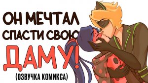 Комиксы Леди Баг и Супер Кот | Он мечтал спасти - свою ДАМУ!