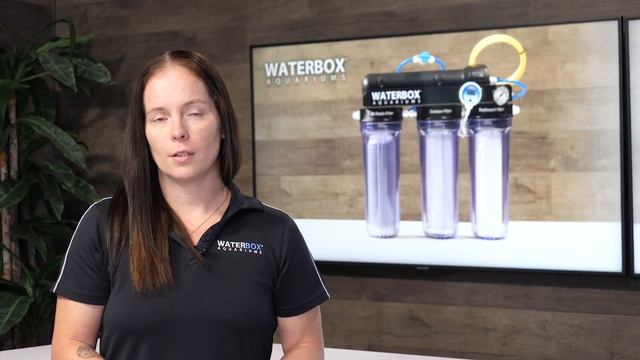 RO/DI 4 and 5 Stage by Waterbox Aquariums смотреть онлайн
