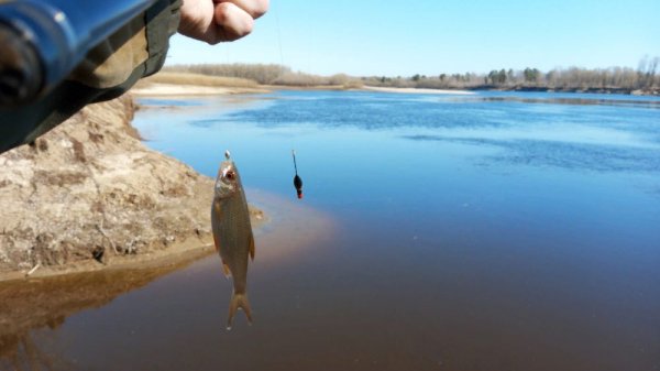 Открытие летнего рыболовного сезон 23 #NIK_72