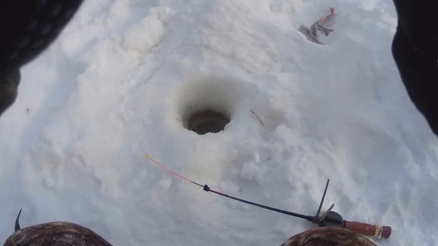 ЖЕРЛИЦЫ РАБОТАЮТ ДАЖЕ В ГЛУХОЗИМЬЕ. смотреть онлайн