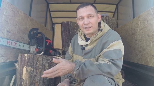 Китайская пила PIT - Реальный тест. Пит пилит сухие дубки P.I.T. валит смотреть онлайн