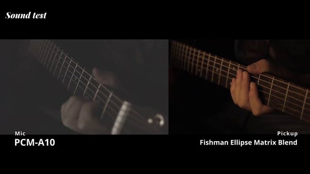 Ditson D-15 Aged | 파츠 교환 및 사운드 테스트 | lumix gx85 смотреть онлайн