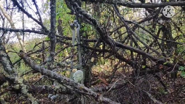 Поездка в заброшенную станицу Абхазская смотреть онлайн