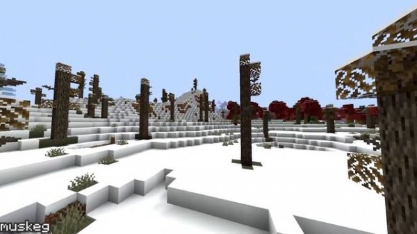 MINECRAFT 1.19 - BIOMES O PLENTY ALL BIOMES! - The Wild Update NEW MODS All Biomes Showcase [Forge]