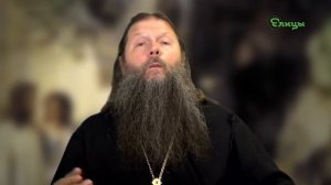 Евангельские образы. Лоза. Протоиерей Артемий Владимиров. Елицы