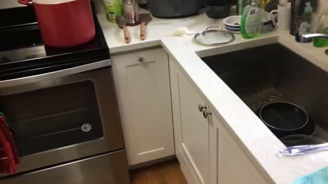 Окультные исследования