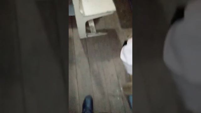 Приключения на даче😃 1 часть смотреть онлайн