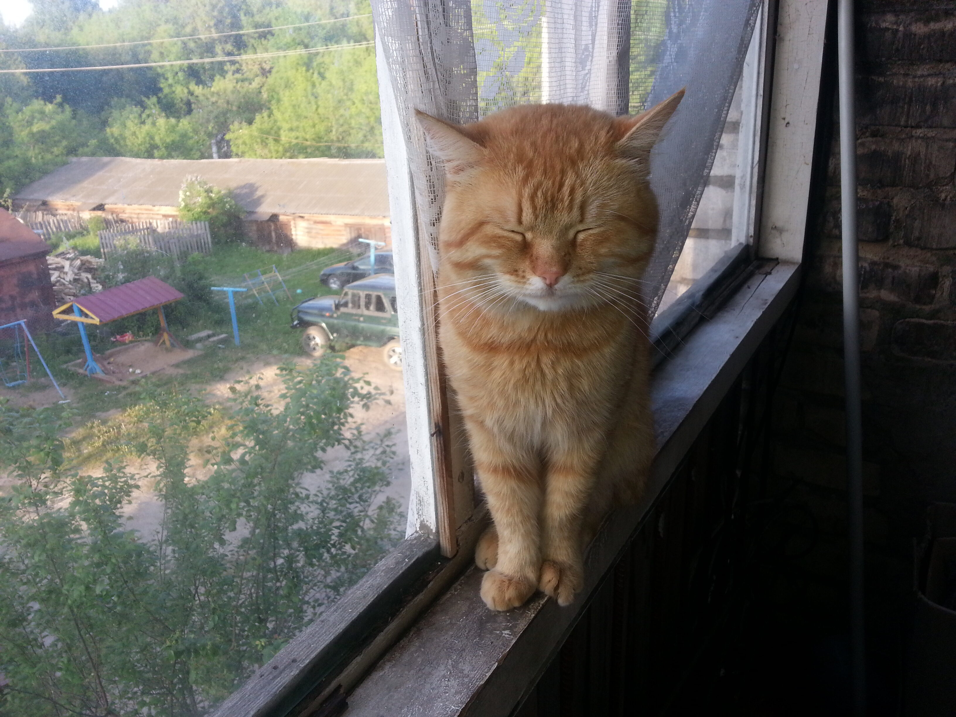 Мишка. Часть 3 смотреть онлайн