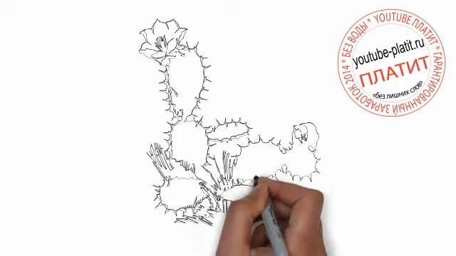 Как нарисовать красивый кактус карандашом смотреть онлайн