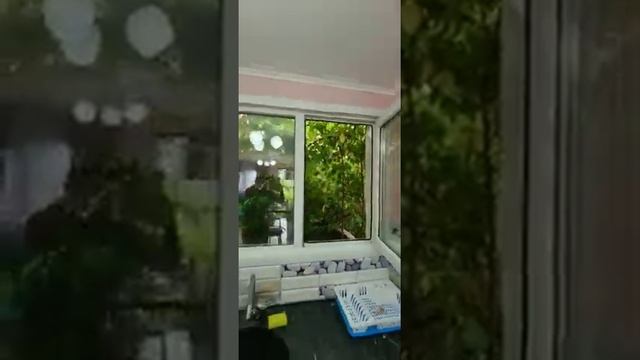 Квартира-Студия 20кв смотреть онлайн