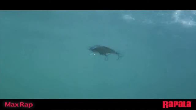 Rapala Max Rap